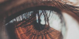 Tomografie Oculara In Coerenta Optica